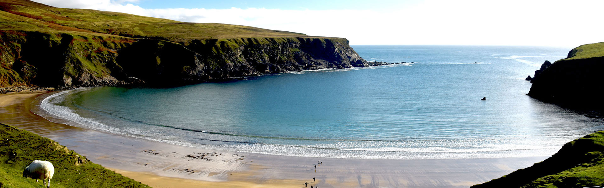 Meeresalgen in Irland geerntet